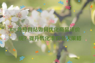 B2C外貿(mào)網(wǎng)站如何優(yōu)化商品評(píng)價(jià)系統(tǒng)？提升轉(zhuǎn)化率的五大策略