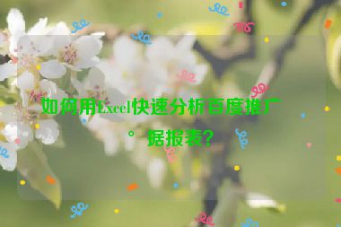 如何用Excel快速分析百度推廣數(shù)據(jù)報(bào)表？