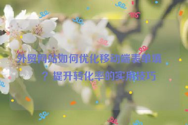 外貿(mào)網(wǎng)站如何優(yōu)化移動端表單填寫？提升轉(zhuǎn)化率的實用技巧
