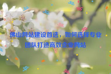 佛山網(wǎng)站建設(shè)首選，如何選擇專業(yè)團(tuán)隊(duì)打造高效企業(yè)網(wǎng)站