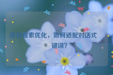 語音搜索優(yōu)化，如何適配對話式關(guān)鍵詞？