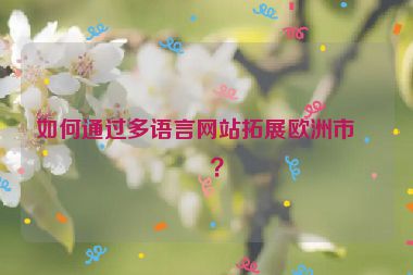 如何通過多語言網(wǎng)站拓展歐洲市場(chǎng)？