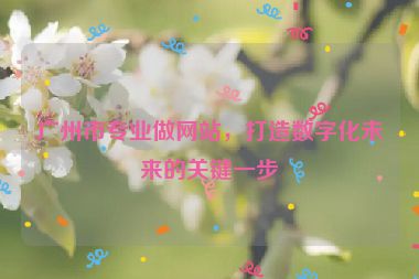 廣州市專業(yè)做網(wǎng)站，打造數(shù)字化未來(lái)的關(guān)鍵一步