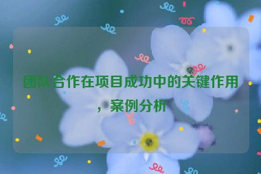 團(tuán)隊合作在項目成功中的關(guān)鍵作用，案例分析