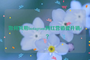如何利用Instagram網(wǎng)紅營銷提升銷量？