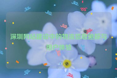 深圳網(wǎng)站建設(shè)中的物流信息追蹤與用戶體驗(yàn)