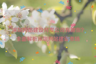 深圳網(wǎng)站建設(shè)開發(fā)公司有哪些？全面解析深圳網(wǎng)站建設(shè)市場