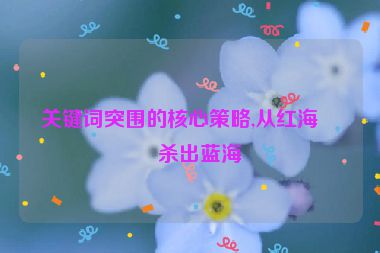 關(guān)鍵詞突圍的核心策略,從紅海中殺出藍海