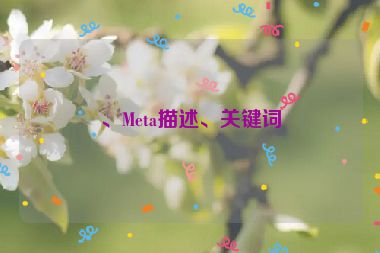 、Meta描述、關(guān)鍵詞