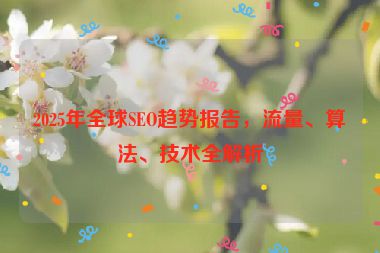 2025年全球SEO趨勢報(bào)告，流量、算法、技術(shù)全解析