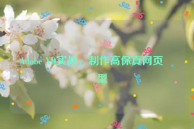 Adobe XD實戰(zhàn)，制作高保真網(wǎng)頁原型