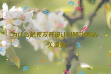為什么觸摸友好設(shè)計對移動網(wǎng)站至關(guān)重要？
