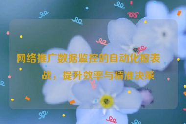 網(wǎng)絡(luò)推廣數(shù)據(jù)監(jiān)控的自動(dòng)化報(bào)表實(shí)戰(zhàn)，提升效率與精準(zhǔn)決策