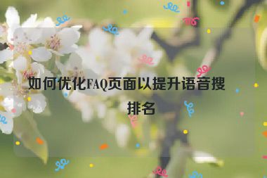 如何優(yōu)化FAQ頁(yè)面以提升語(yǔ)音搜索排名