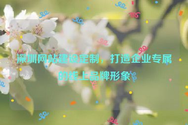 深圳網(wǎng)站建設(shè)定制，打造企業(yè)專屬的線上品牌形象