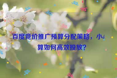 百度競(jìng)價(jià)推廣預(yù)算分配策略，小預(yù)算如何高效投放？