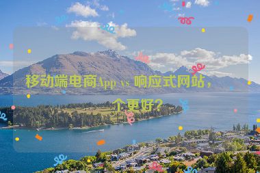 移動(dòng)端電商App vs 響應(yīng)式網(wǎng)站，哪個(gè)更好？