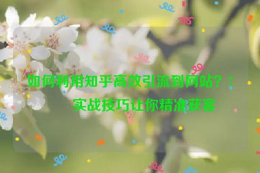 如何利用知乎高效引流到網(wǎng)站？7個實戰(zhàn)技巧讓你精準獲客