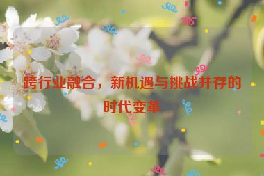 跨行業(yè)融合，新機遇與挑戰(zhàn)并存的時代變革