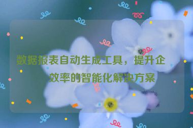 數(shù)據(jù)報(bào)表自動(dòng)生成工具，提升企業(yè)效率的智能化解決方案