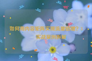 如何用內(nèi)容矩陣實(shí)現(xiàn)流量倍增？3個(gè)實(shí)戰(zhàn)案例拆解