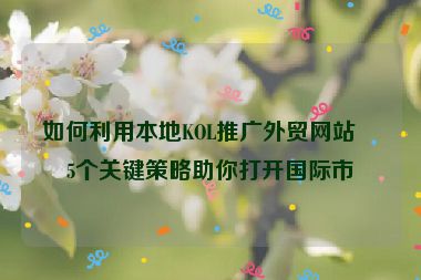 如何利用本地KOL推廣外貿(mào)網(wǎng)站？5個(gè)關(guān)鍵策略助你打開(kāi)國(guó)際市場(chǎng)