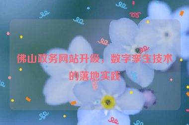 佛山政務網站升級，數字孿生技術的落地實踐