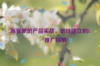 高客單價產品實戰(zhàn)，信任建立的5個推廣環(huán)節(jié)