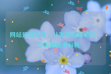 網(wǎng)站運(yùn)營(yíng)實(shí)戰(zhàn)，從零到流量破萬(wàn)的引流策略全解析