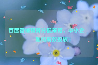 百度營銷預算分配策略，中小企業(yè)如何高效投放