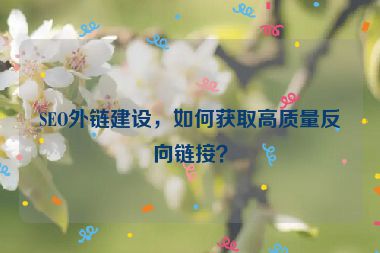 SEO外鏈建設(shè)，如何獲取高質(zhì)量反向鏈接？