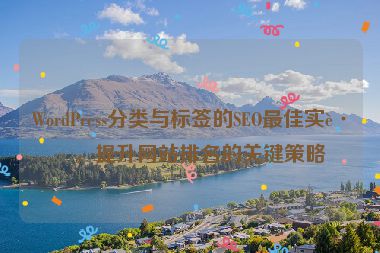WordPress分類(lèi)與標(biāo)簽的SEO最佳實(shí)踐，提升網(wǎng)站排名的關(guān)鍵策略