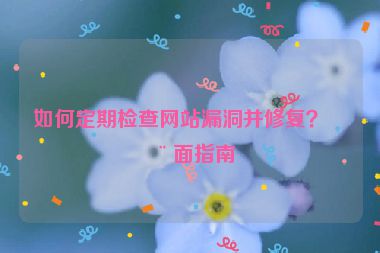 如何定期檢查網(wǎng)站漏洞并修復(fù)？全面指南