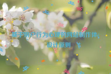 基于用戶行為心理的網(wǎng)站制作體驗設(shè)計原則