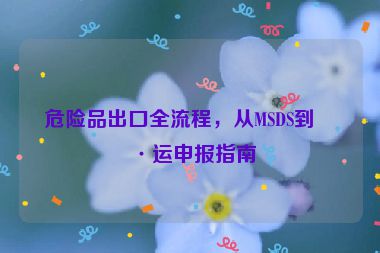 危險品出口全流程，從MSDS到海運(yùn)申報指南