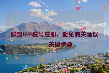 歐盟IOSS稅號(hào)注冊(cè)，避免清關(guān)延誤的關(guān)鍵步驟