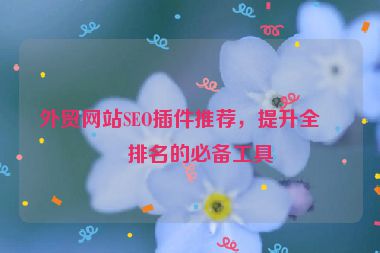 外貿(mào)網(wǎng)站SEO插件推薦，提升全球排名的必備工具