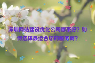 深圳網(wǎng)站建設(shè)優(yōu)化公司哪家好？如何選擇最適合您的服務(wù)商？