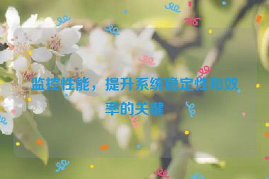 監(jiān)控性能，提升系統(tǒng)穩(wěn)定性和效率的關(guān)鍵
