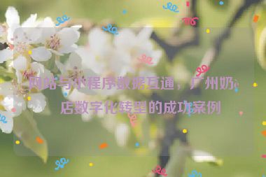 網(wǎng)站與小程序數(shù)據(jù)互通，廣州奶茶店數(shù)字化轉(zhuǎn)型的成功案例