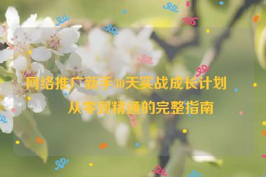 網絡推廣新手30天實戰(zhàn)成長計劃，從零到精通的完整指南