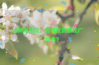 A/B測(cè)試實(shí)戰(zhàn)，如何找到最優(yōu)廣告組合？
