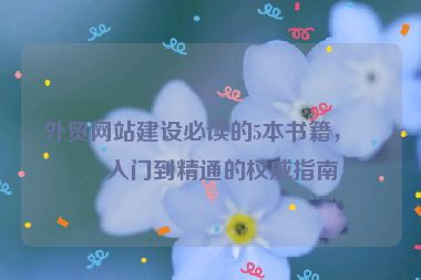 外貿(mào)網(wǎng)站建設(shè)必讀的5本書籍，從入門到精通的權(quán)威指南