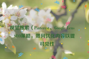 視覺(jué)搜索（Pinterest、Google Lens）SEO策略，如何優(yōu)化內(nèi)容以提升可見(jiàn)性