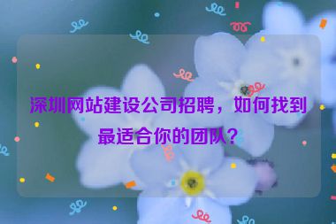 深圳網(wǎng)站建設(shè)公司招聘，如何找到最適合你的團(tuán)隊(duì)？