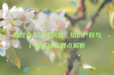 網(wǎng)紅合作法律風(fēng)險，知識產(chǎn)權(quán)與廣告法標注要點解析