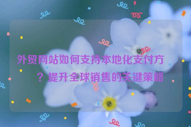 外貿(mào)網(wǎng)站如何支持本地化支付方式？提升全球銷售的關(guān)鍵策略