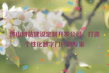 佛山網(wǎng)站建設(shè)定制開發(fā)公司，打造個(gè)性化數(shù)字門戶的專家