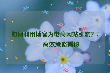 如何利用博客為電商網(wǎng)站引流？7個高效策略揭秘