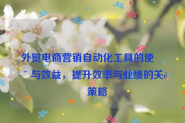 外貿(mào)電商營(yíng)銷(xiāo)自動(dòng)化工具的使用與效益，提升效率與業(yè)績(jī)的關(guān)鍵策略